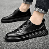 Harrington Oxford | Low Top Sneakers For Men 7