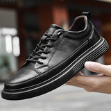Harrington Oxford | Low Top Sneakers For Men 5